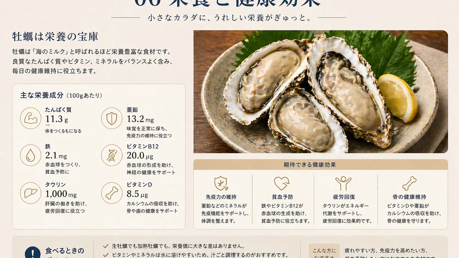 殻を片方開けたマガキの超クローズアップ。乳白色の身の質感が、「海のミルク」と呼ばれる由来を視覚的に示す。